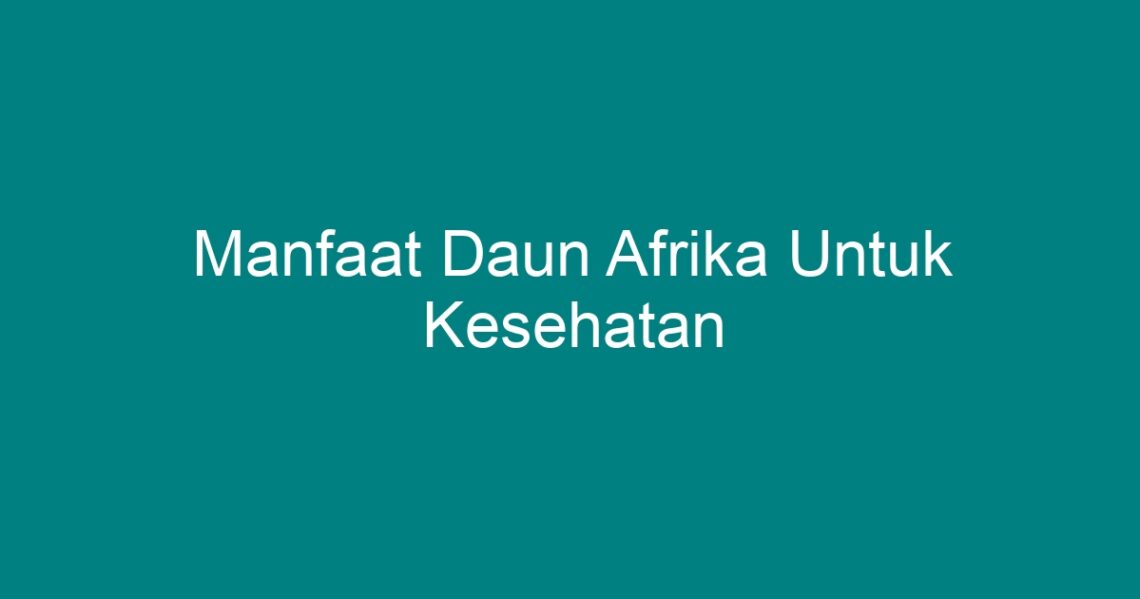 Manfaat Daun Afrika Untuk Kesehatan Geograf