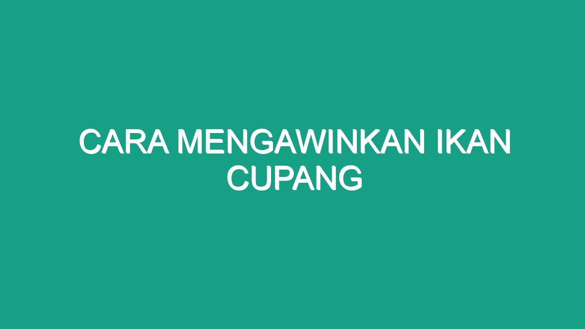 Cara Mengawinkan Ikan Cupang Geograf