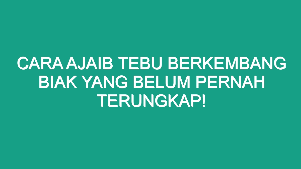 Cara Ajaib Tebu Berkembang Biak Yang Belum Pernah Terungkap Geograf