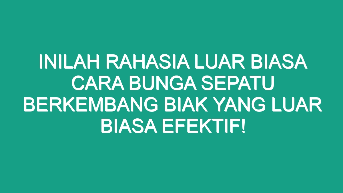 Inilah Rahasia Luar Biasa Cara Bunga Sepatu Berkembang Biak Yang Luar