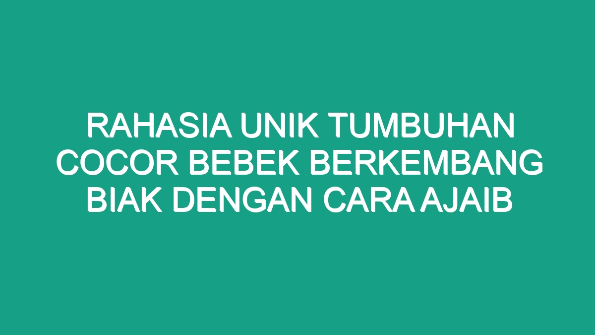 Rahasia Unik Tumbuhan Cocor Bebek Berkembang Biak Dengan Cara Ajaib