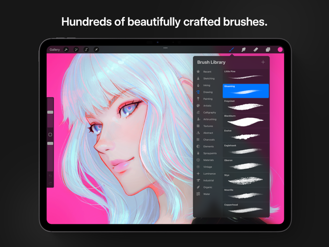 ‎Procreate Screenshot