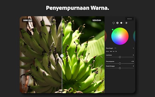 Lightroom Editor Foto & Video Screenshot