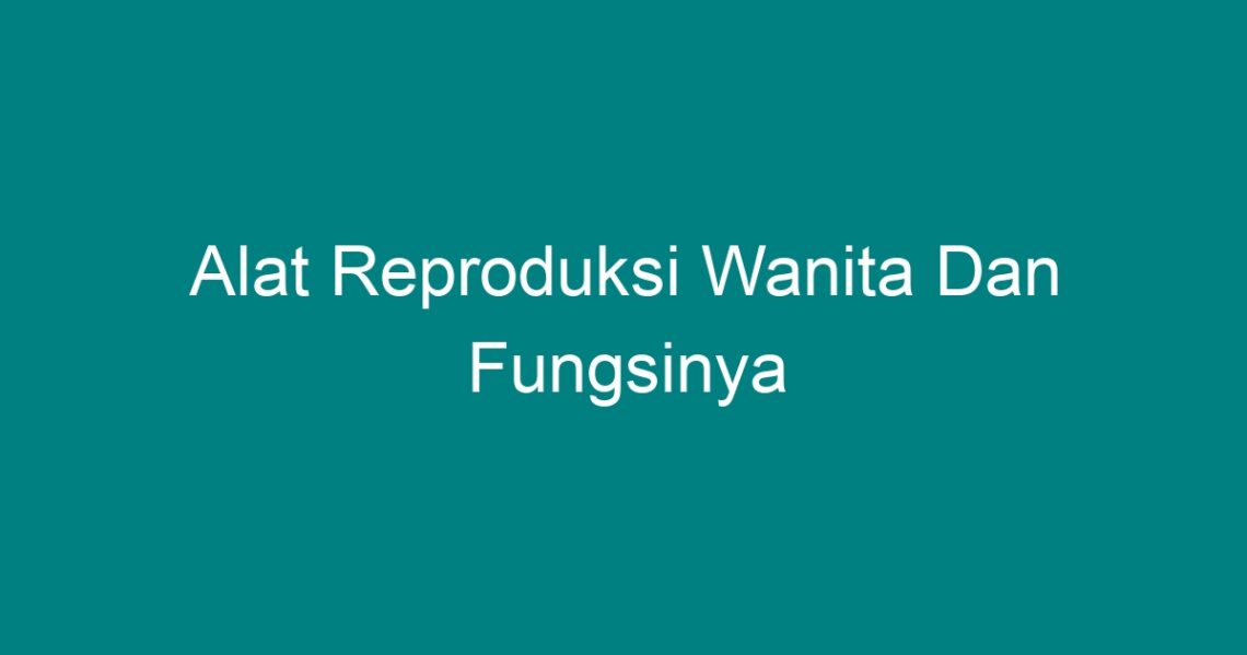 Alat Reproduksi Wanita Dan Fungsinya Geograf