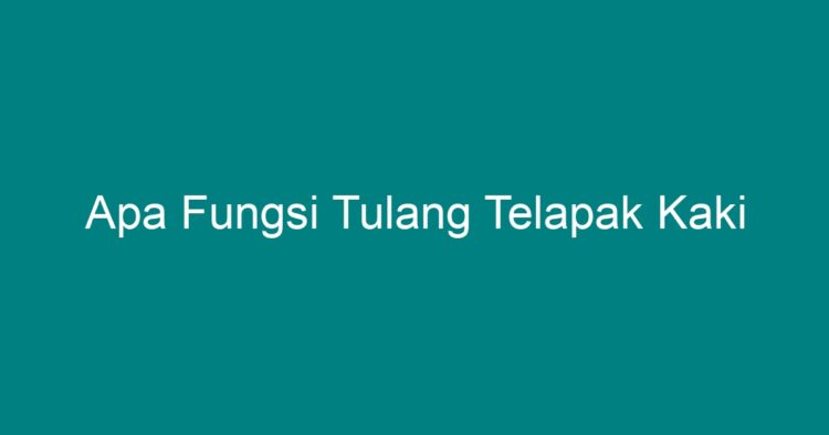 Apa Fungsi Tulang Telapak Kaki Geograf