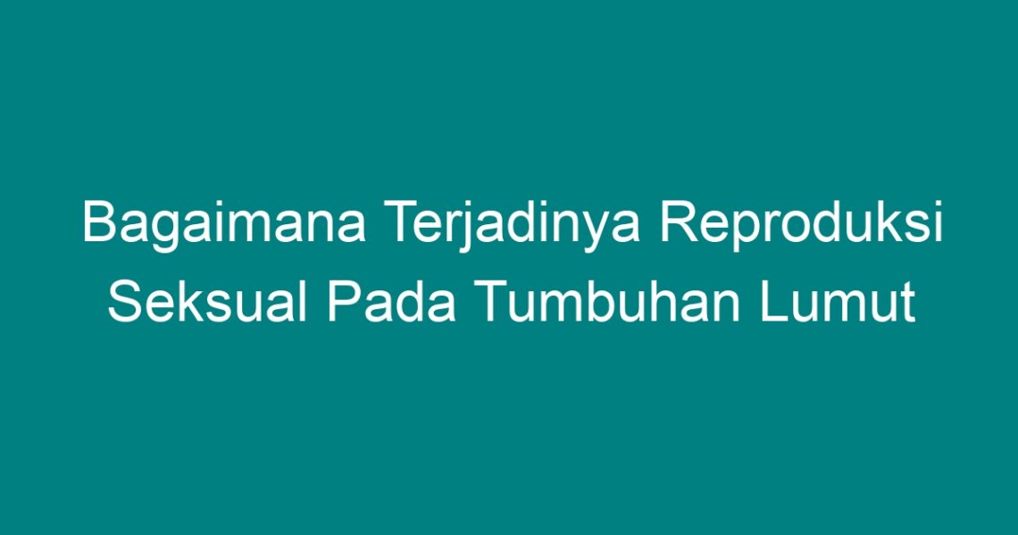 Bagaimana Terjadinya Reproduksi Seksual Pada Tumbuhan Lumut Geograf 0885