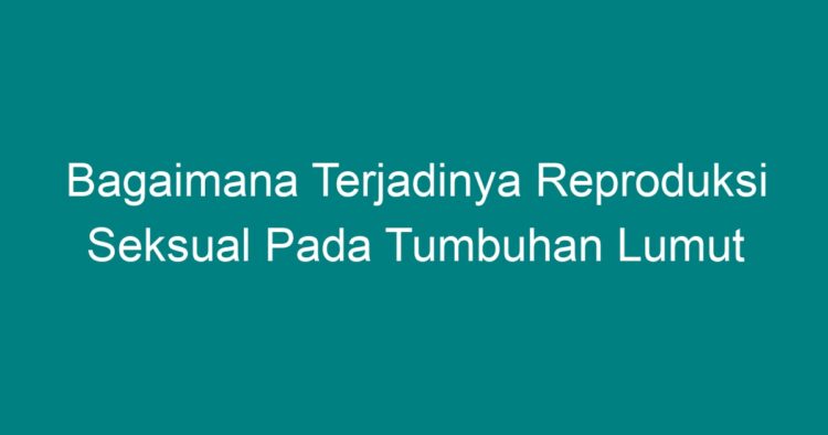 Bagaimana Terjadinya Reproduksi Seksual Pada Tumbuhan Lumut Geograf 8487