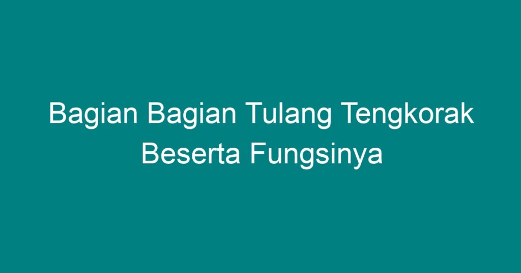 Bagian Bagian Tulang Tengkorak Beserta Fungsinya Geograf