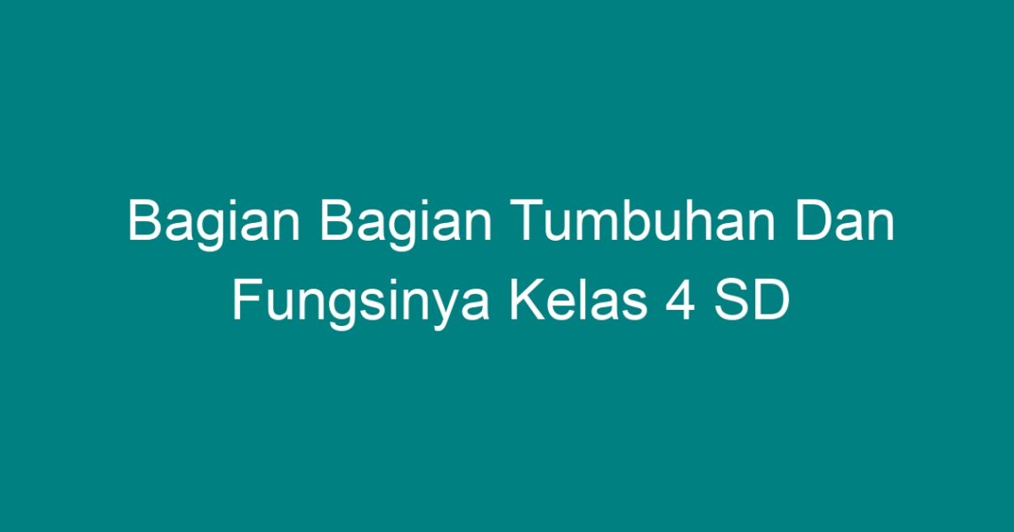 Bagian Bagian Tumbuhan Dan Fungsinya Kelas 4 SD - Geograf