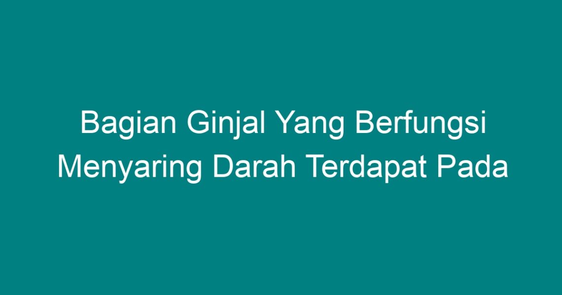 Bagian Ginjal Yang Berfungsi Menyaring Darah Terdapat Pada - Geograf