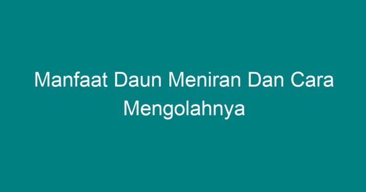 Manfaat Daun Meniran Dan Cara Mengolahnya Geograf