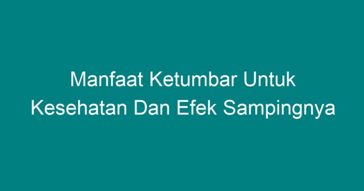 Manfaat Ketumbar Untuk Kesehatan Dan Efek Sampingnya - Geograf