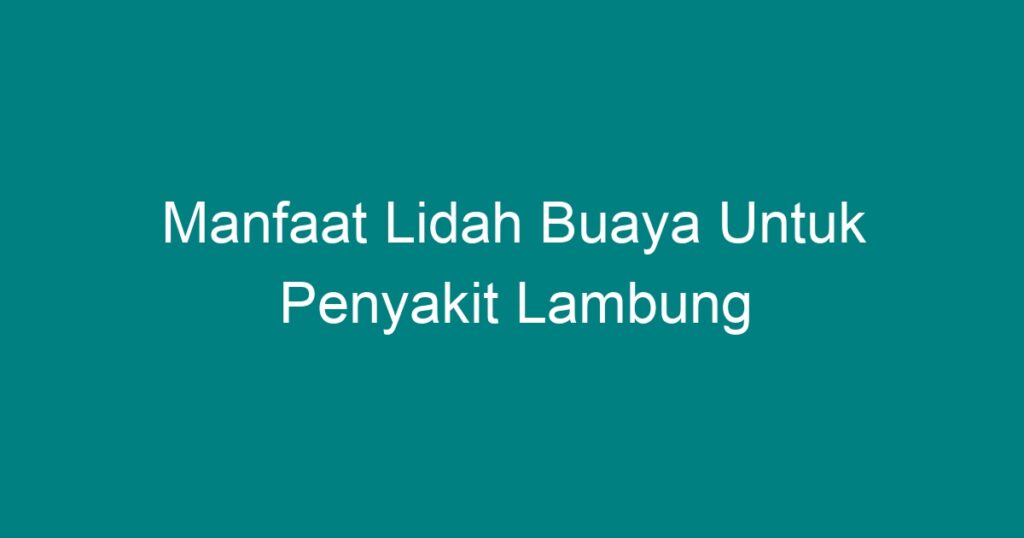 Manfaat Lidah Buaya Untuk Penyakit Lambung - Geograf