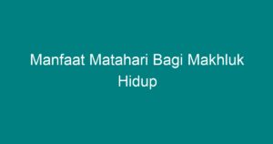 Manfaat Matahari Bagi Makhluk Hidup - Geograf