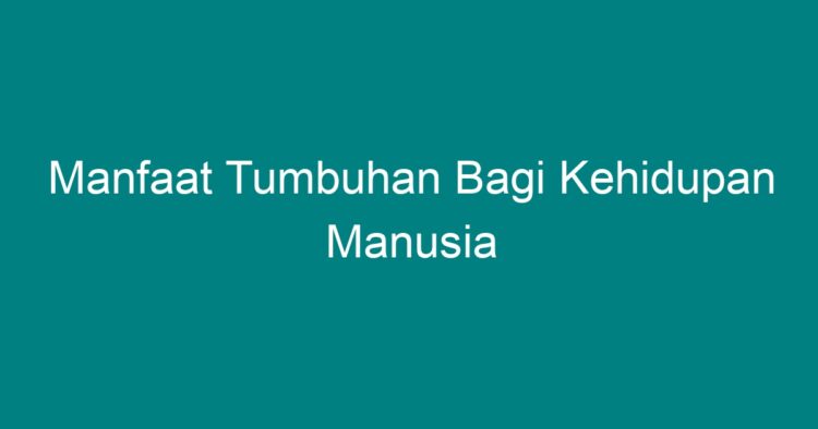 Manfaat Tumbuhan Bagi Kehidupan Manusia - Geograf