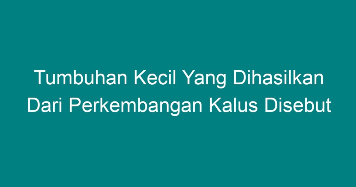 Tumbuhan Kecil Yang Dihasilkan Dari Perkembangan Kalus Disebut