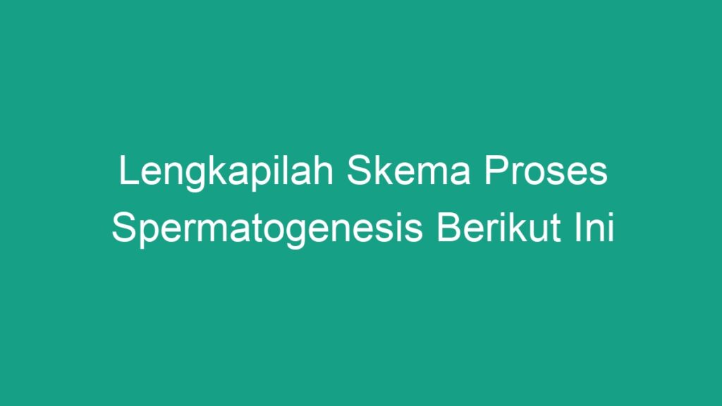 Lengkapilah Skema Proses Spermatogenesis Berikut Ini - Geograf