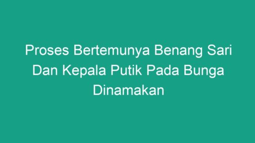 Proses Bertemunya Benang Sari Dan Kepala Putik Pada Bunga Dinamakan ...