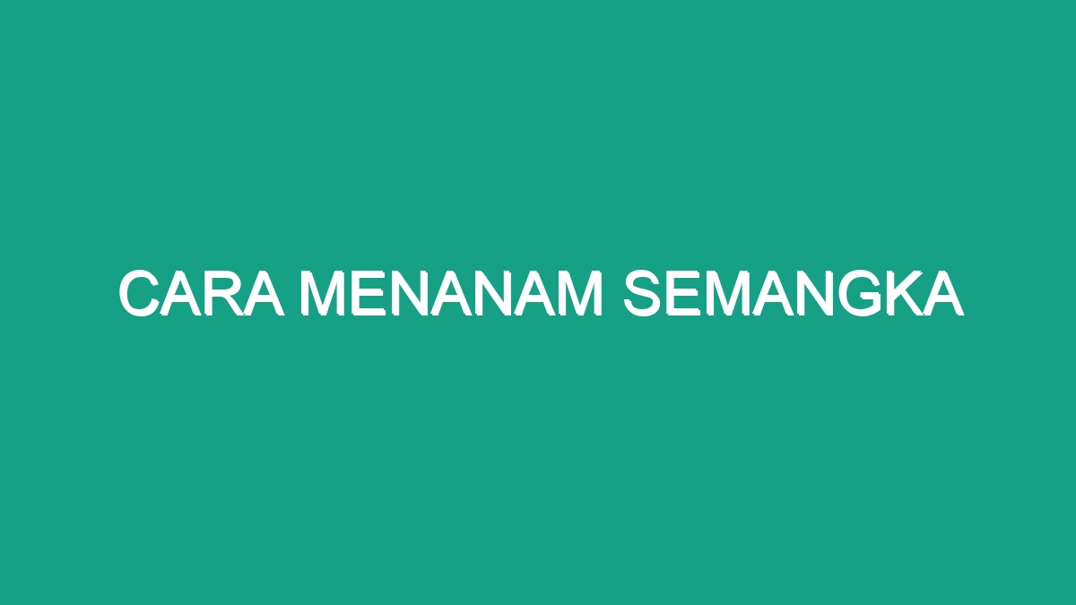 Cara Menanam Semangka Geograf