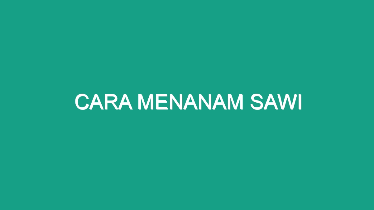 Cara Menanam Sawi - Geograf