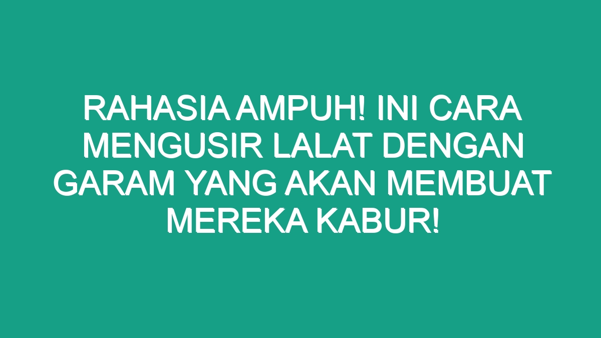 Rahasia Ampuh! Ini Cara Mengusir Lalat Dengan Garam Yang Akan Membuat ...